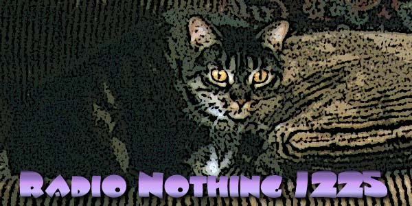 Radio Nothing 1225