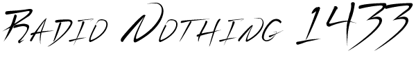 Radio Nothing #1433