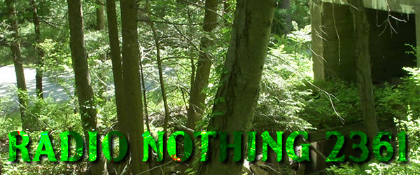 Radio Nothing 2361