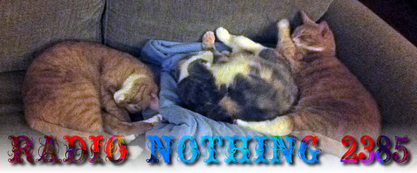 Radio Nothing 2385