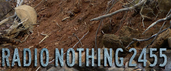 Radio Nothing 2455