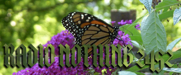 Radio Nothing 2452
