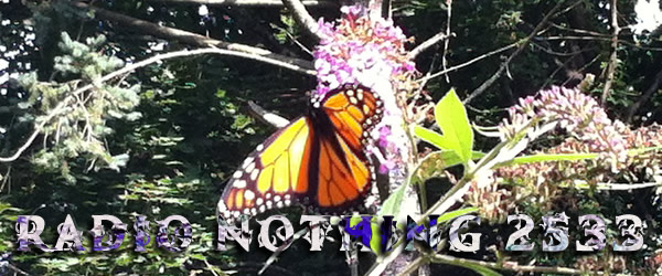 Radio Nothing 2533