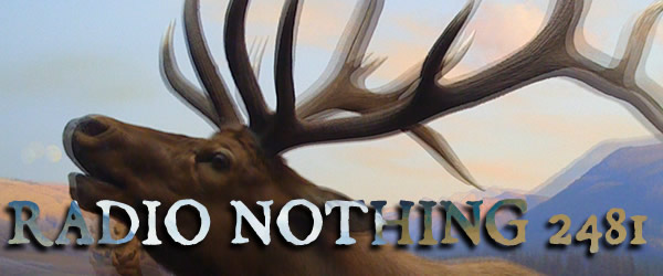Radio Nothing 2481