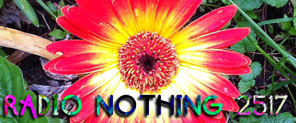 Radio Nothing 2517