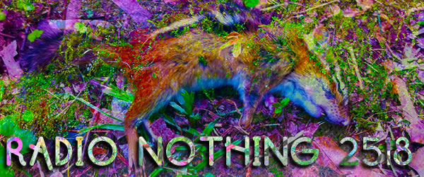 Radio Nothing 2518