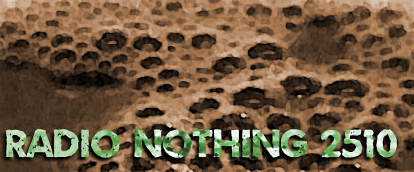 Radio Nothing 2510