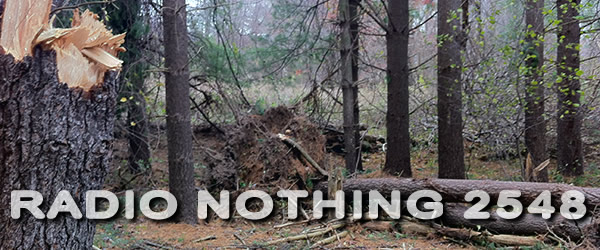 Radio Nothing 2548
