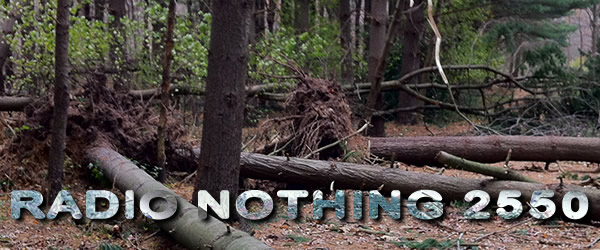 Radio Nothing 2550