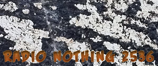 Radio Nothing 2536