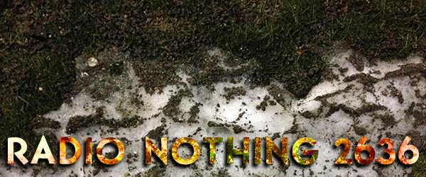Radio Nothing 2636