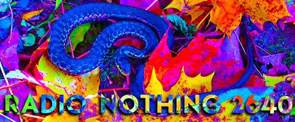 Radio Nothing 2640