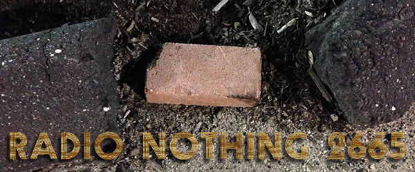 Radio Nothing 2665