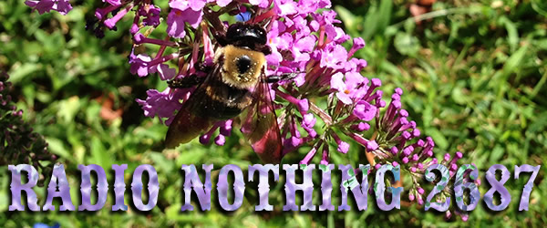 Radio Nothing 2687