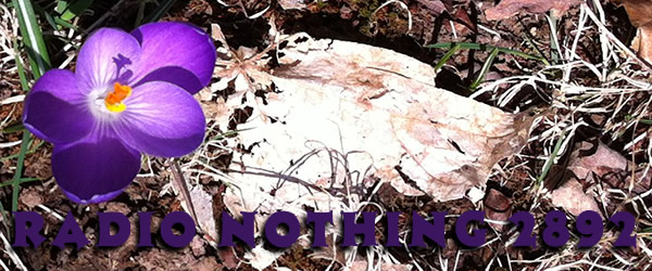 Radio Nothing 2892